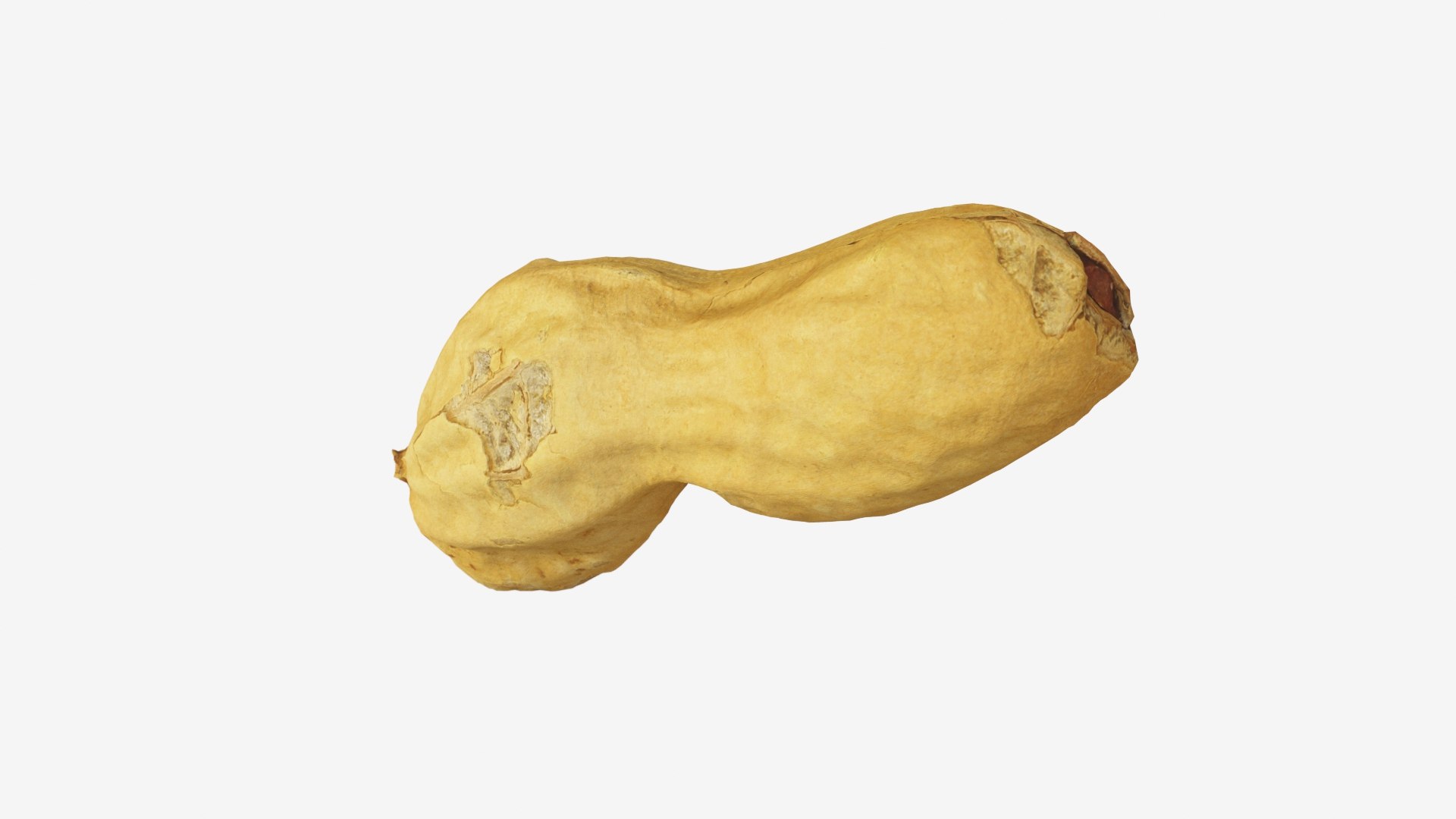 Peanut 4 model https://p.turbosquid.com/ts-thumb/BT/snYPcH/O0/peanut4_previewimage02/jpg/1630850218/1920x1080/fit_q87/91395e4420e1551bedd4ad3b6c78c4d09849dee2/peanut4_previewimage02.jpg