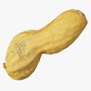 Peanut 4