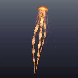 realistic jellyfish 3D model