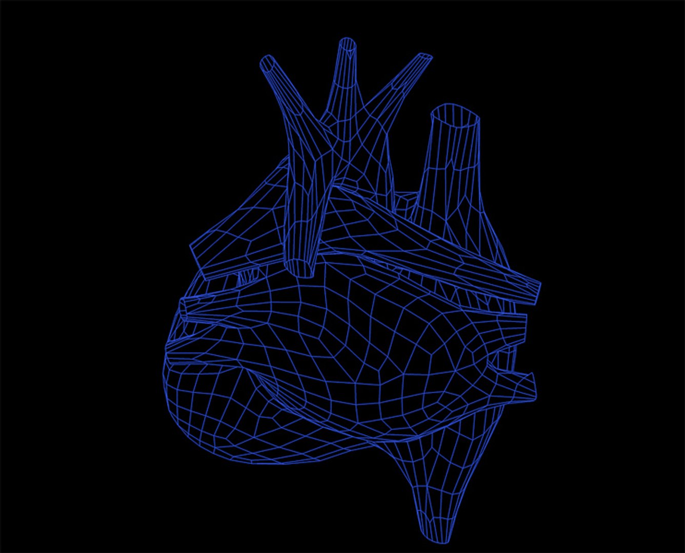 3d real heart https://p.turbosquid.com/ts-thumb/BU/2e0wMD/pW2T1nGx/6/jpg/1398096260/1920x1080/fit_q87/ab884d37b95c65ba27f2e559b39c93f5647ea698/6.jpg