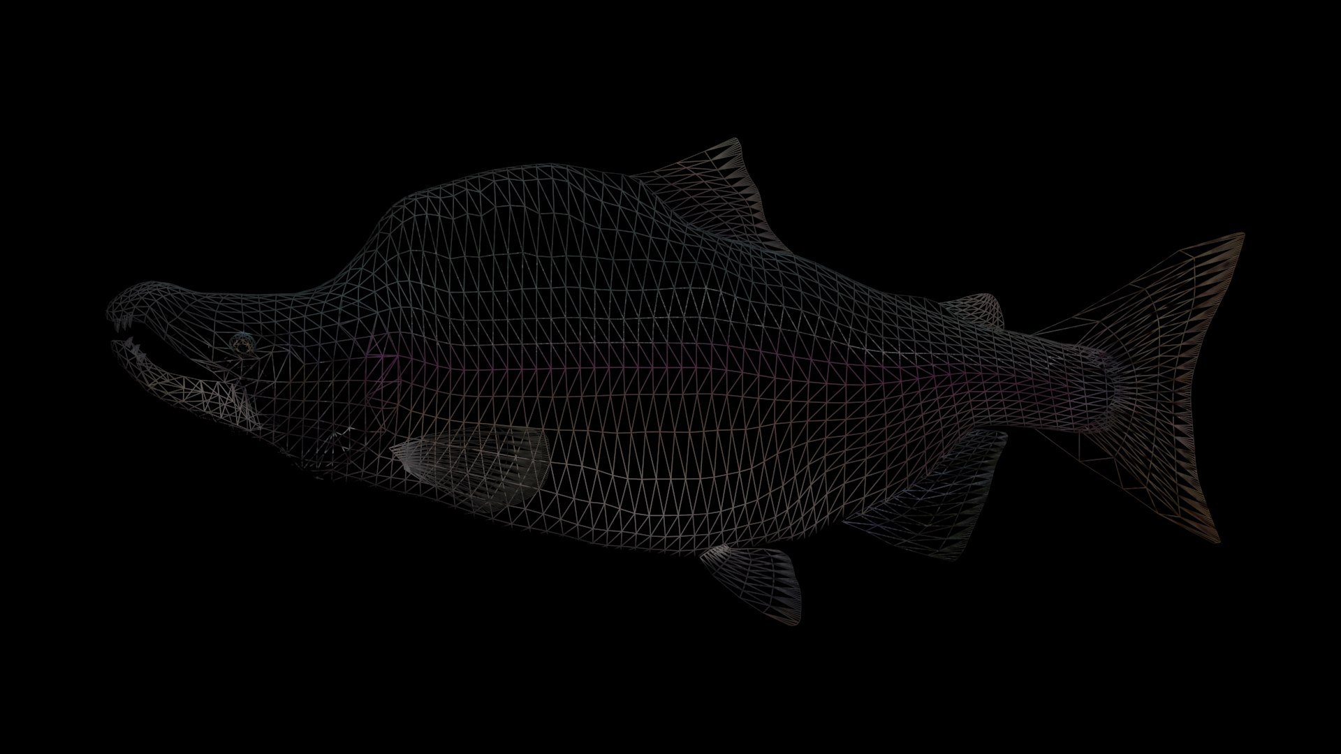 3D pink salmon https://p.turbosquid.com/ts-thumb/BU/82wOVh/Wrtkmptm/view_2/jpg/1528502827/1920x1080/fit_q87/85352e9efee64b4f6bb2dd1a86eb92120d553608/view_2.jpg