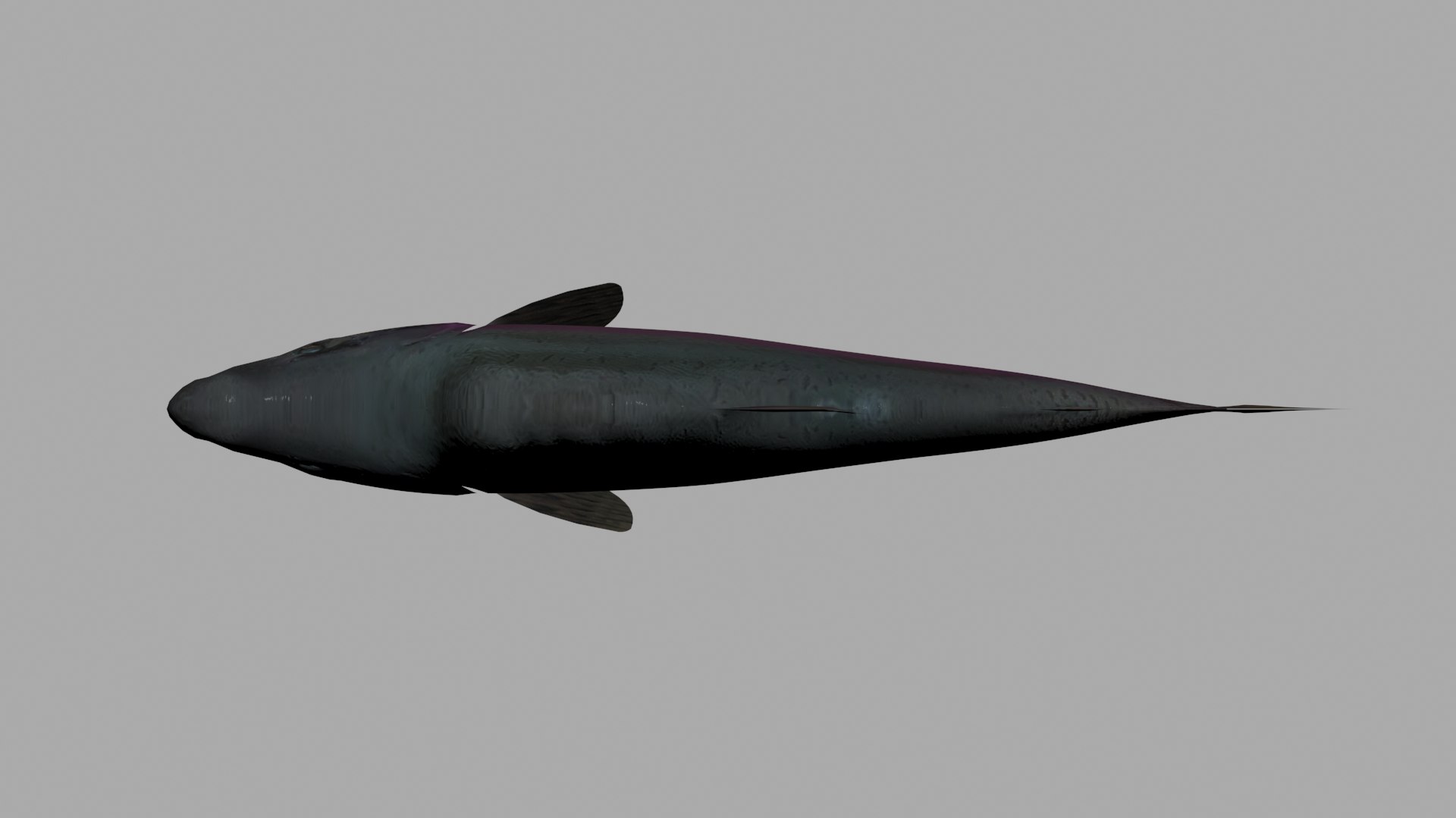 3D pink salmon https://p.turbosquid.com/ts-thumb/BU/82wOVh/clyzF5xW/view_4/jpg/1528502827/1920x1080/fit_q87/73035c009b59e74a61a35c73a23c679a2bc9e700/view_4.jpg