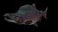 Pink Salmon
