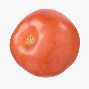 3D model Tomato