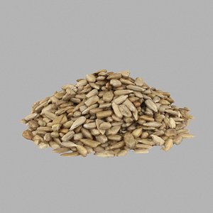 3D seed sunflower model