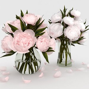 bouquet white pink model
