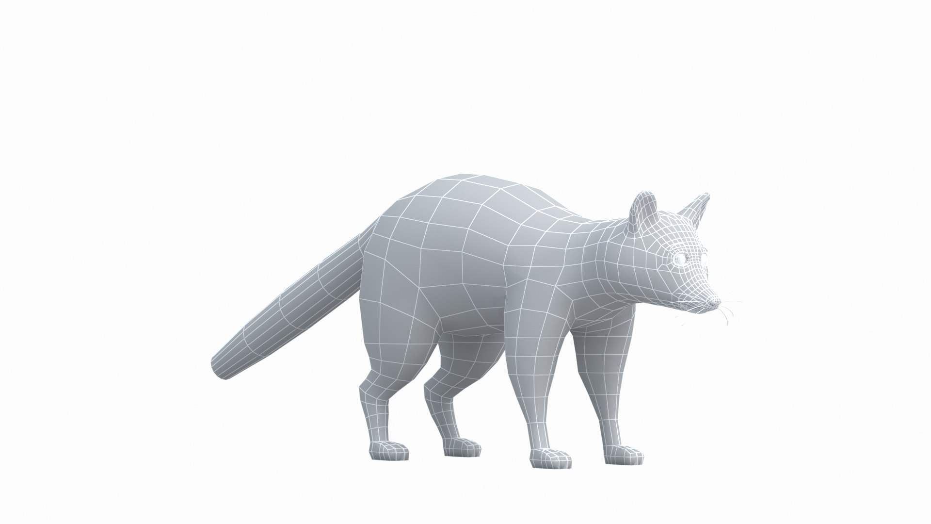 3D Raccoon - TurboSquid 2165447