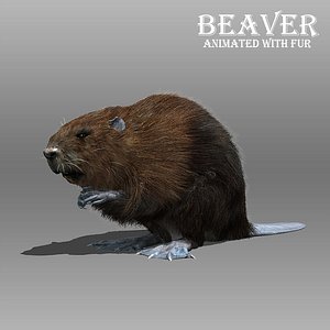 3D beaver fur model