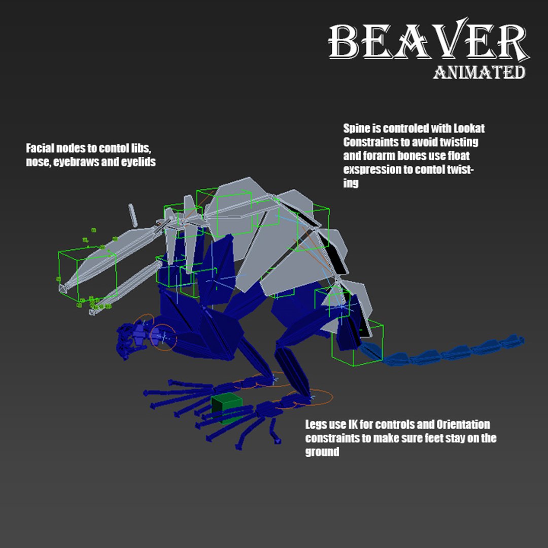 3D beaver fur model - TurboSquid 1231675