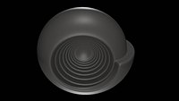 Ammonoid shell involute and depressed Somoholites