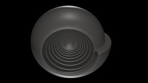 Ammonoid shell involute and depressed Somoholites