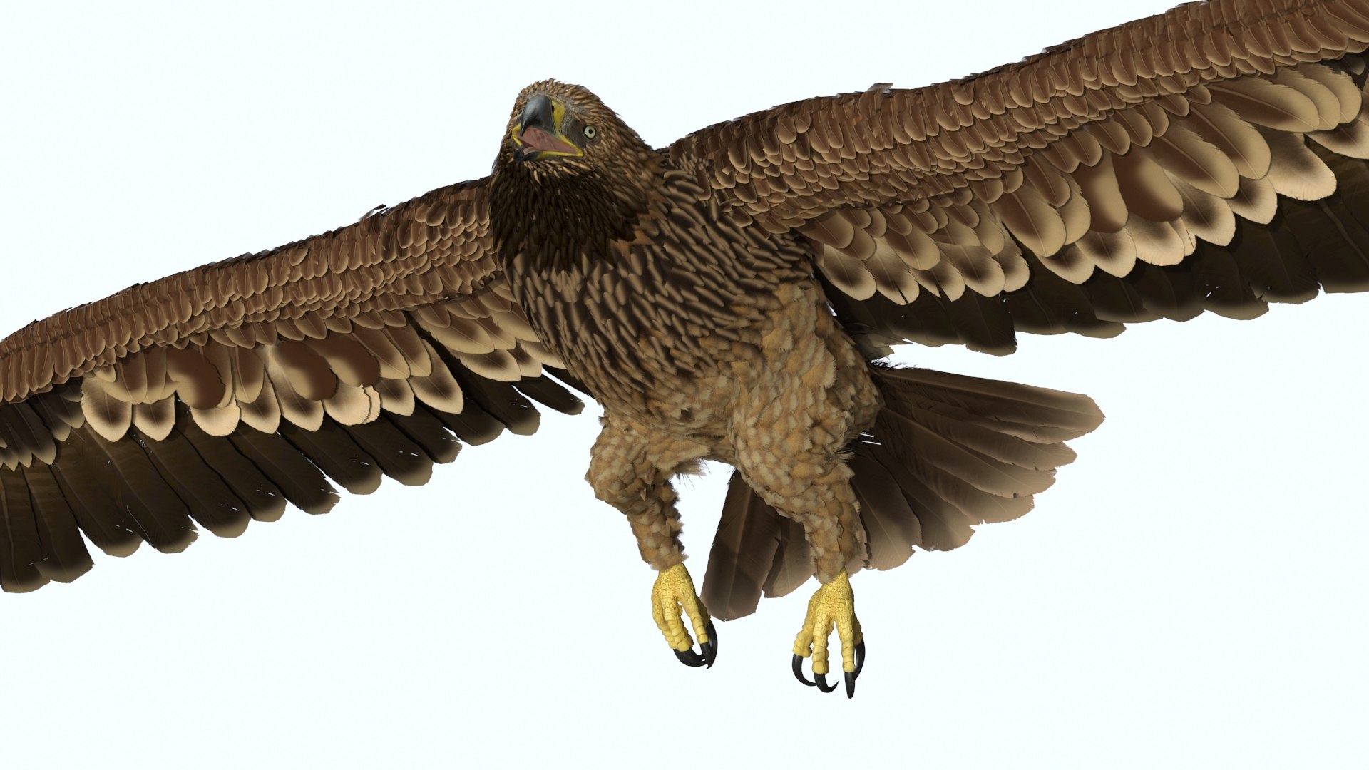 Imperial Eagle Flying 3D model preview