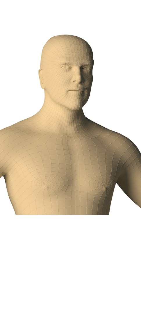 caucasian man 3D model https://p.turbosquid.com/ts-thumb/BU/rQvy3w/ifW3V3nO/man4/png/1553454298/1920x1080/fit_q87/a5989856390324ca92888bd78cad56fb86376422/man4.jpg