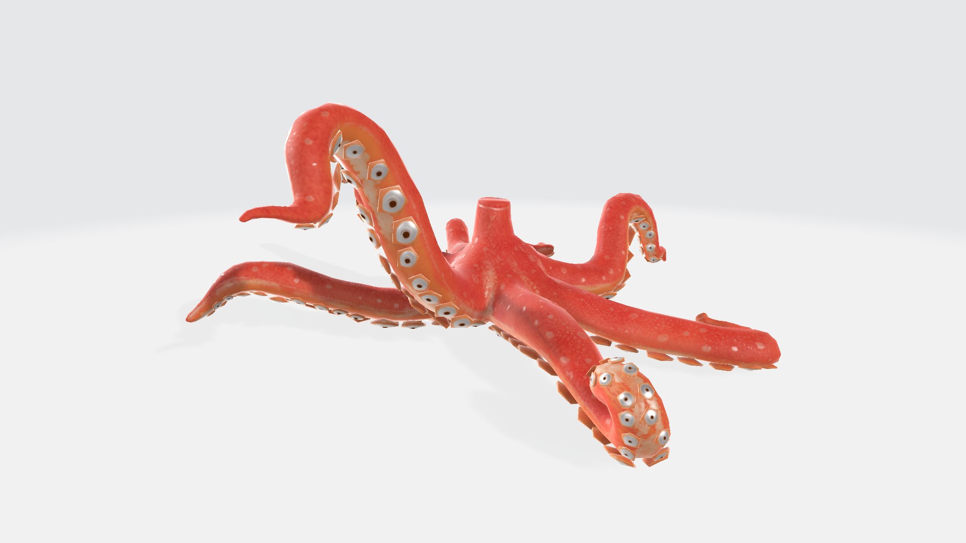 Octopus Body - TurboSquid 2366772