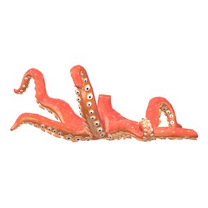 Octopus body 3D model