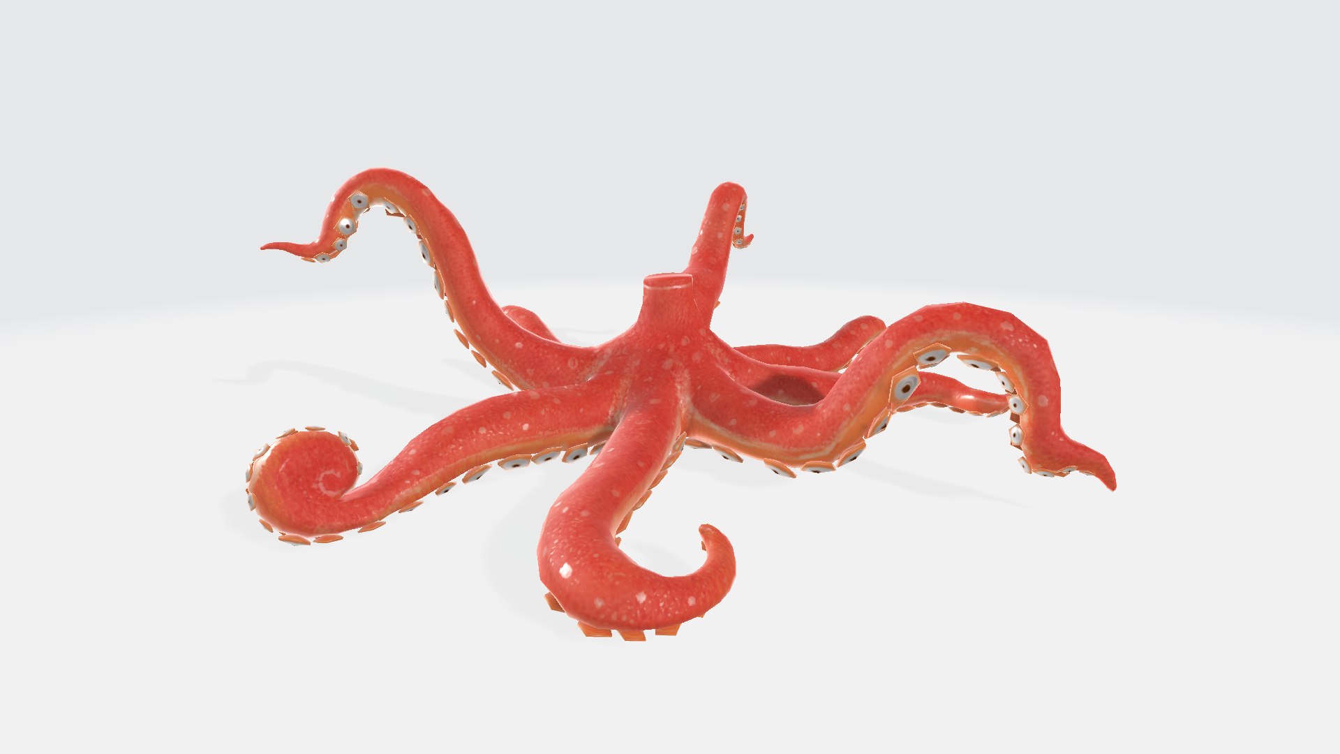 Octopus Body - TurboSquid 2366772