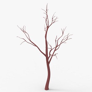Bare tree 3D