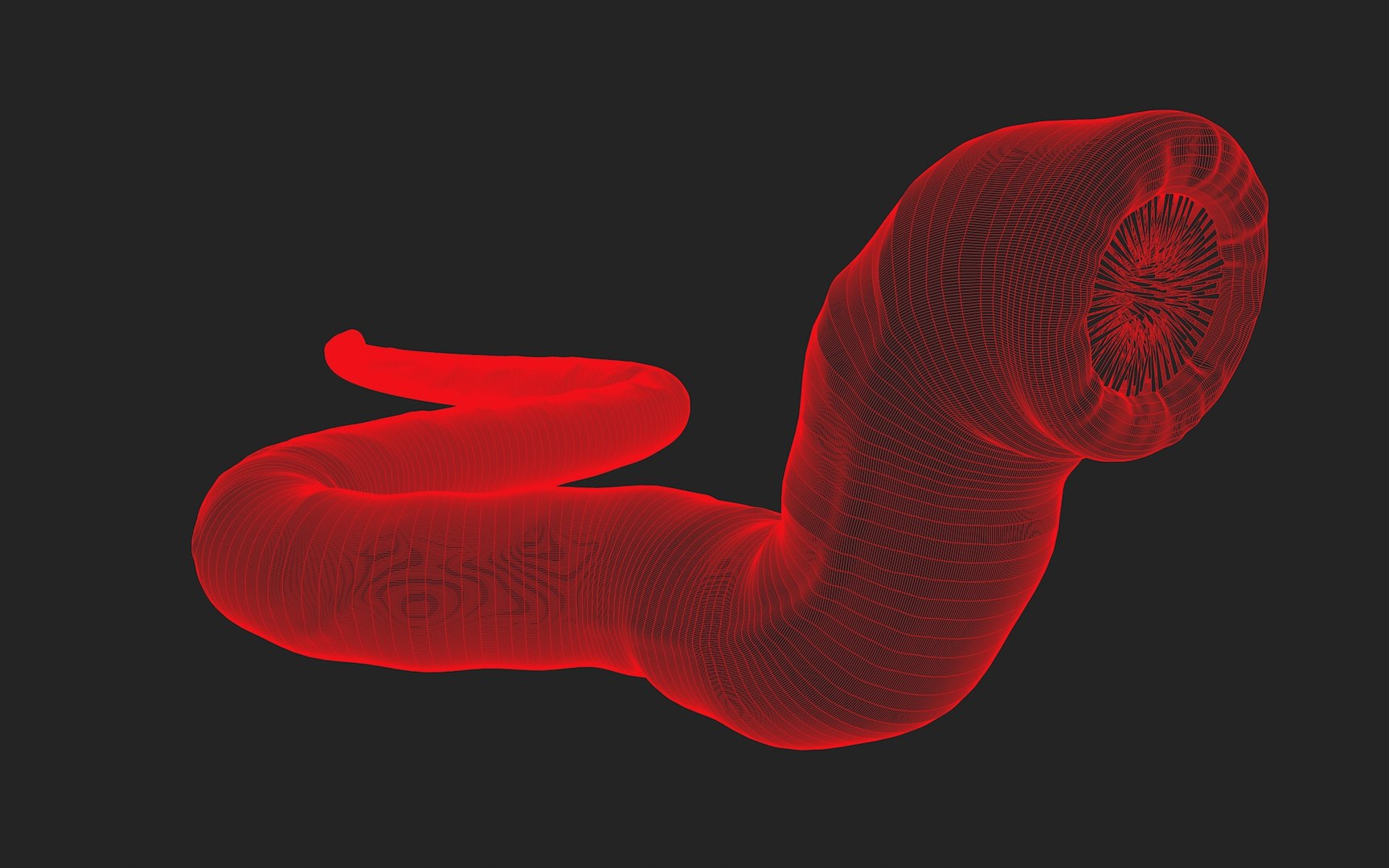 Shai-Hulud Sandworm 3D model https://p.turbosquid.com/ts-thumb/BV/UIGMEa/Ya/shaihulud10/jpg/1632657811/1920x1080/fit_q87/3e24cb2201c116a9bc2ede94b51a1ae6395dadb5/shaihulud10.jpg