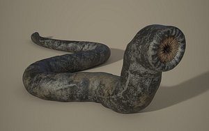 Shai-Hulud Sandworm 3D model