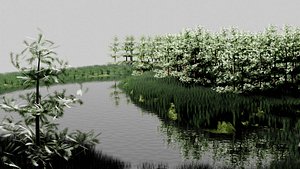 Forest with Lake model