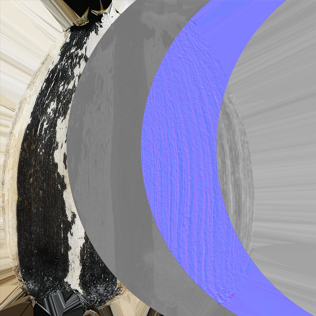 Sunflower Seed 02 3D model https://p.turbosquid.com/ts-thumb/BV/gvFxTn/mw/sunflowerseed02_c0005/png/1764572515/1920x1080/fit_q87/b3e662fdd097eed1f8e9f13c933640dcad23760a/sunflowerseed02_c0005.jpg