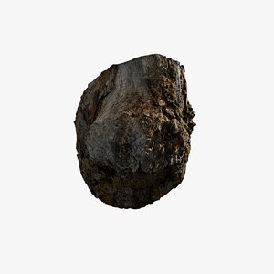 Anydrafts Hippophae rhamnoides Burl 06 3D model