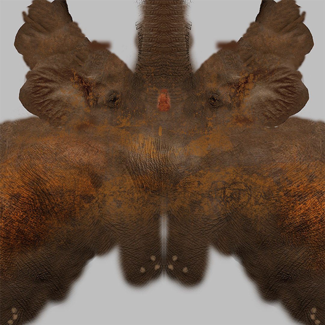 African Elephant RIGGED L2374 3D model https://p.turbosquid.com/ts-thumb/BV/sY6l2y/eI/038/png/1745001416/1920x1080/fit_q87/ba43367a71906a0bb16abbc1a3a1612856b42ab2/038.jpg