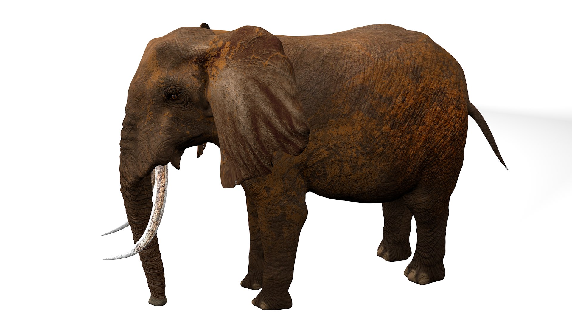 African Elephant RIGGED L2374 3D model https://p.turbosquid.com/ts-thumb/BV/sY6l2y/lF/15_0013/png/1745001354/1920x1080/fit_q87/9facebb502c496823ef4f7e22c637245d0f05f23/15_0013.jpg