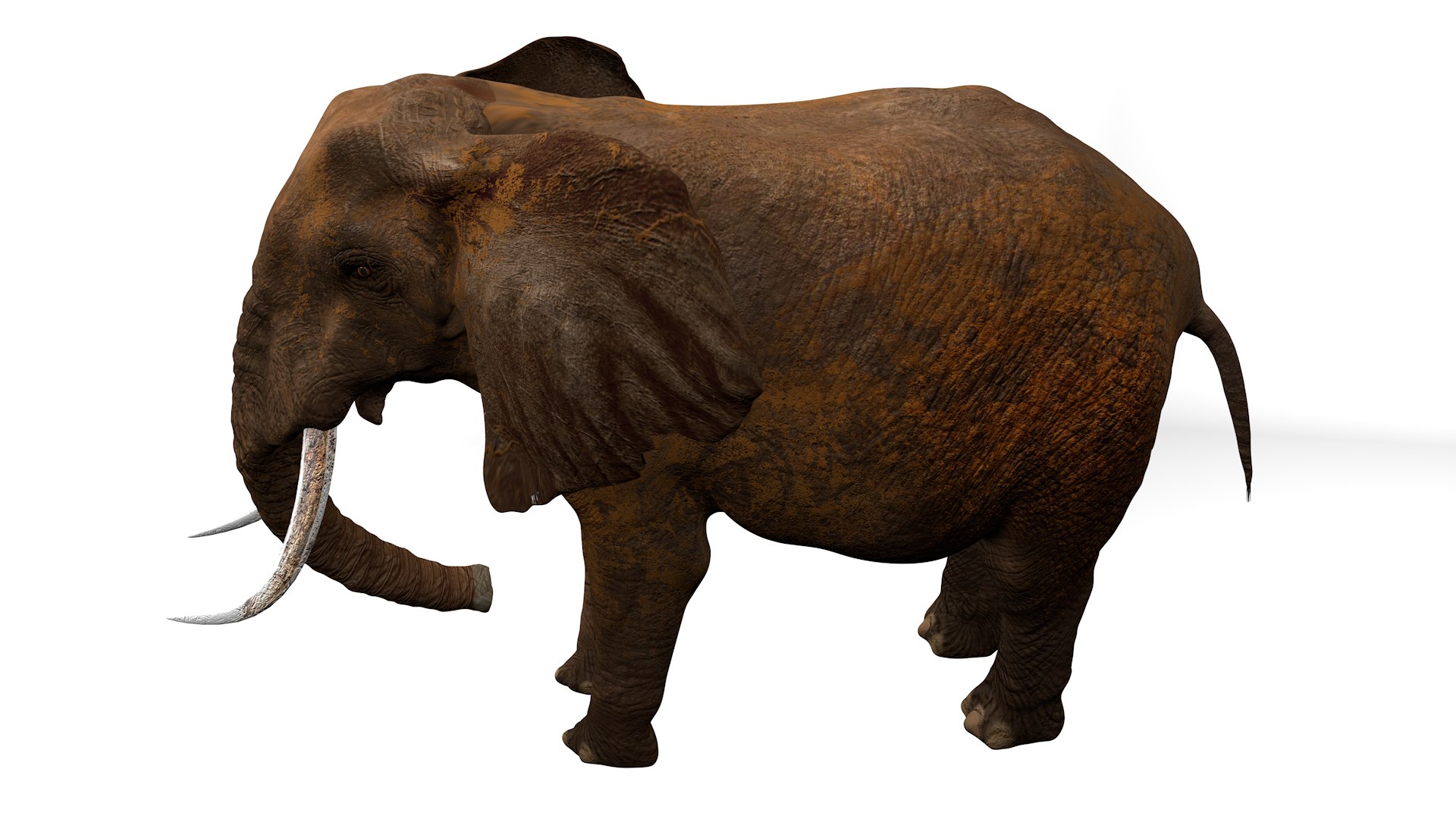 African Elephant RIGGED L2374 3D model https://p.turbosquid.com/ts-thumb/BV/sY6l2y/n6/16_0025/png/1745001357/1920x1080/fit_q87/02fdbe575ab5f37b667955ad21a10217654ede01/16_0025.jpg