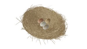 3D model bird nest