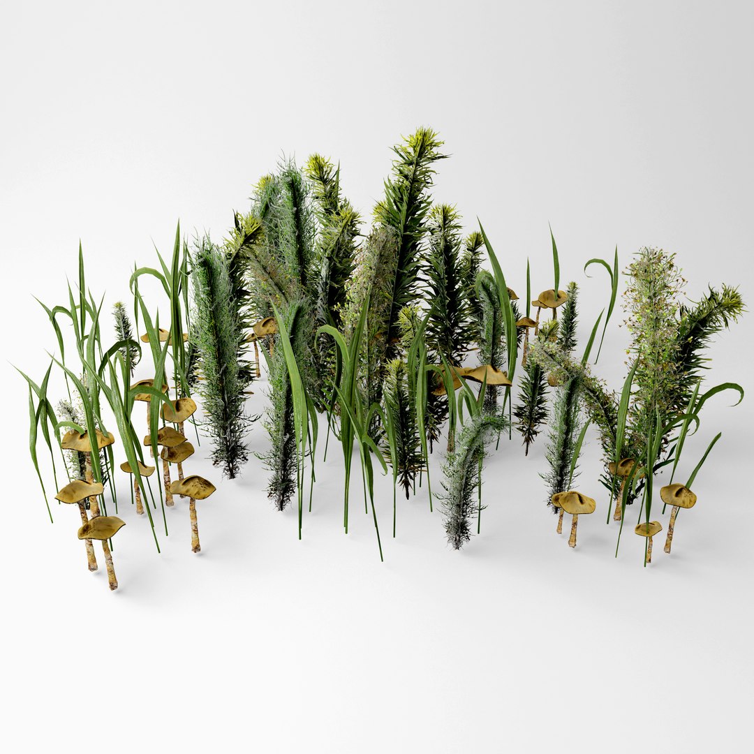 3D grass mushroom https://p.turbosquid.com/ts-thumb/BW/UKYbDm/NqAdSIJg/3/jpg/1583948853/1920x1080/fit_q87/79547dfa5b993c6ae6221f72e0f0863cfb37bbf0/3.jpg