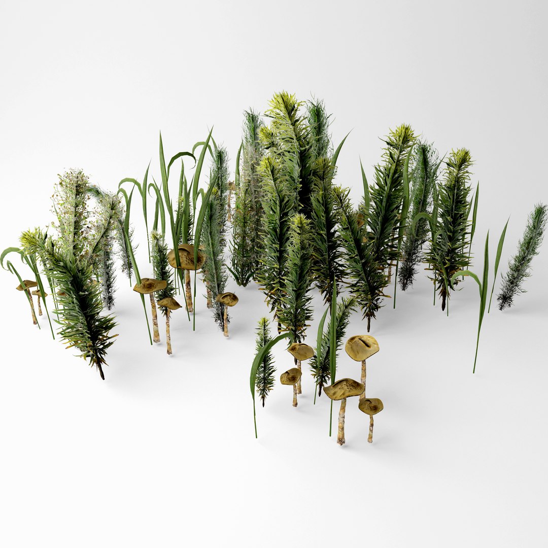 3D grass mushroom https://p.turbosquid.com/ts-thumb/BW/UKYbDm/Tl6PAfb0/1/jpg/1583948768/1920x1080/fit_q87/c0e156a816d8d47febca7bb0b74c8e0f6688b6cb/1.jpg