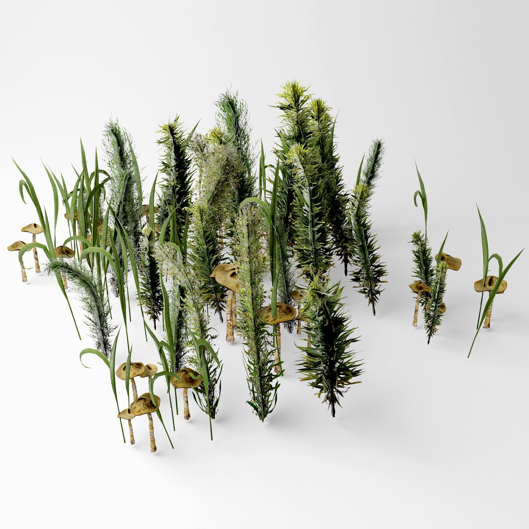 3D grass mushroom https://p.turbosquid.com/ts-thumb/BW/UKYbDm/aumFalLC/2/jpg/1583948813/1920x1080/fit_q87/8b781080afc4b8389da1e7b5a4db6bd2c92a5178/2.jpg