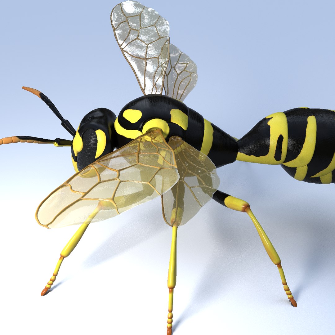 wasp animal 3d model https://p.turbosquid.com/ts-thumb/BW/aLjIM2/gzhw4oAW/2/png/1447237701/1920x1080/fit_q87/019d337e6df56ec6a274620860c0569e22bb9d81/2.jpg