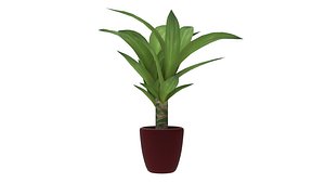 3D model Plant 1