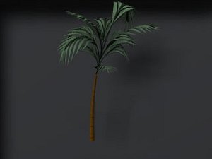 3d palm tree model