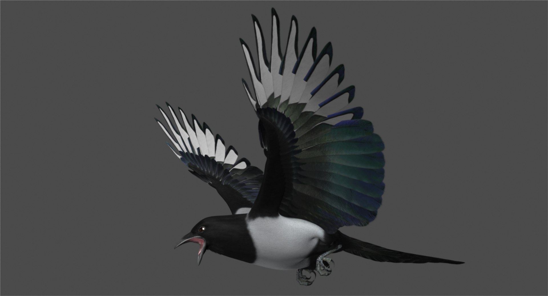 obj black-billed magpie animation https://p.turbosquid.com/ts-thumb/BW/tVrgmp/ej3vsePL/r00/jpg/1490107410/1920x1080/fit_q87/6e9fb8fb6742e3cfd2eaa12b48b7dd62d27e3dee/r00.jpg