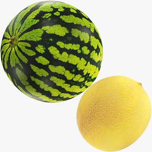 Melon and Watermelon Collection V1