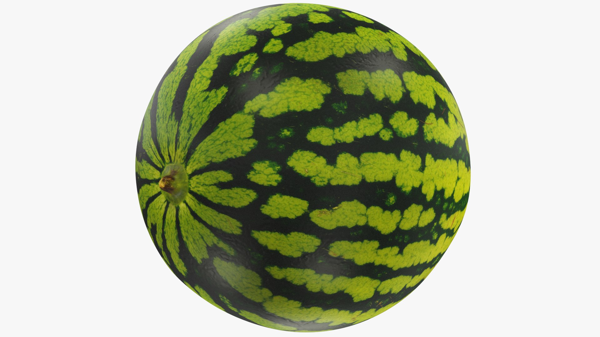 3D Melon and Watermelon Collection V1 https://p.turbosquid.com/ts-thumb/BW/zkIOgs/GJ/watermelon1_004_001/png/1714519290/1920x1080/fit_q87/2f549612f9dbf1e087905e47899858d89eb88b18/watermelon1_004_001.jpg
