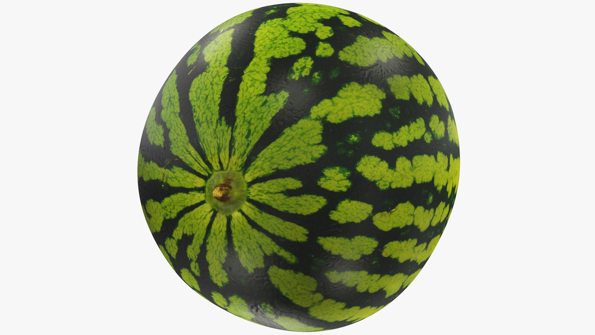 3D Melon and Watermelon Collection V1 https://p.turbosquid.com/ts-thumb/BW/zkIOgs/z4/watermelon1_004_012/png/1714519305/1920x1080/fit_q87/90412fe3967d28facc1525495301c628744ea1e8/watermelon1_004_012.jpg