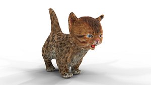 Cure Kitten Fur Animated 02