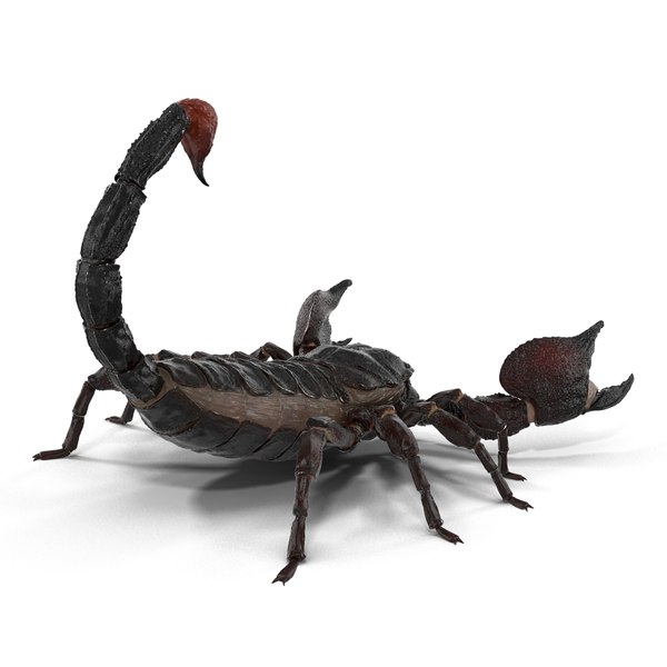 3D insects set gibbifer model - TurboSquid 1516487