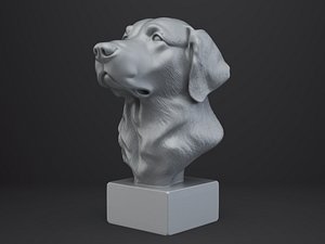 3D Golden Retriever Dog Bust