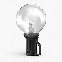 Edison Bulb
