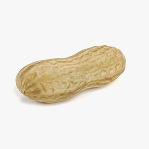 Peanut Husk