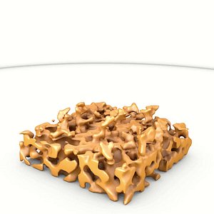 porous structure growth 3D model