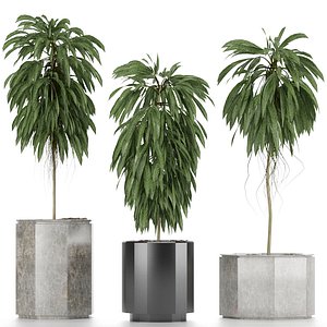 plants 08 3D