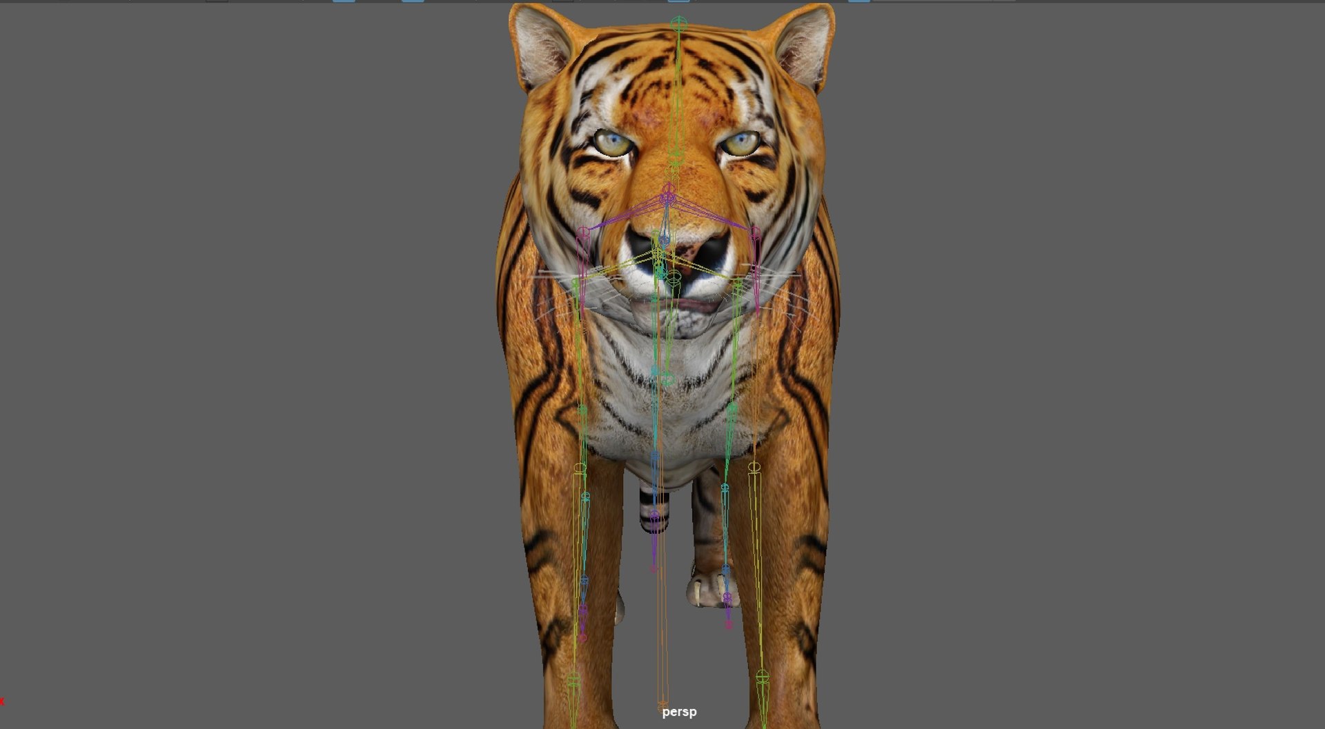 3D Model Tiger Rigged - TurboSquid 1880954