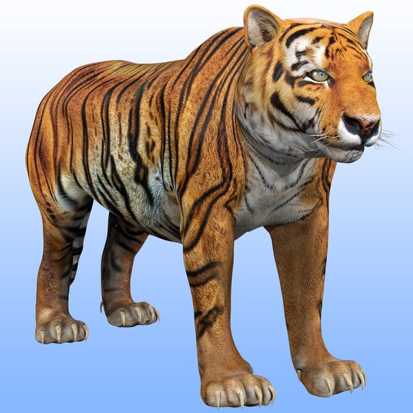 Animado Tigre 3D model - Baixar Animais no