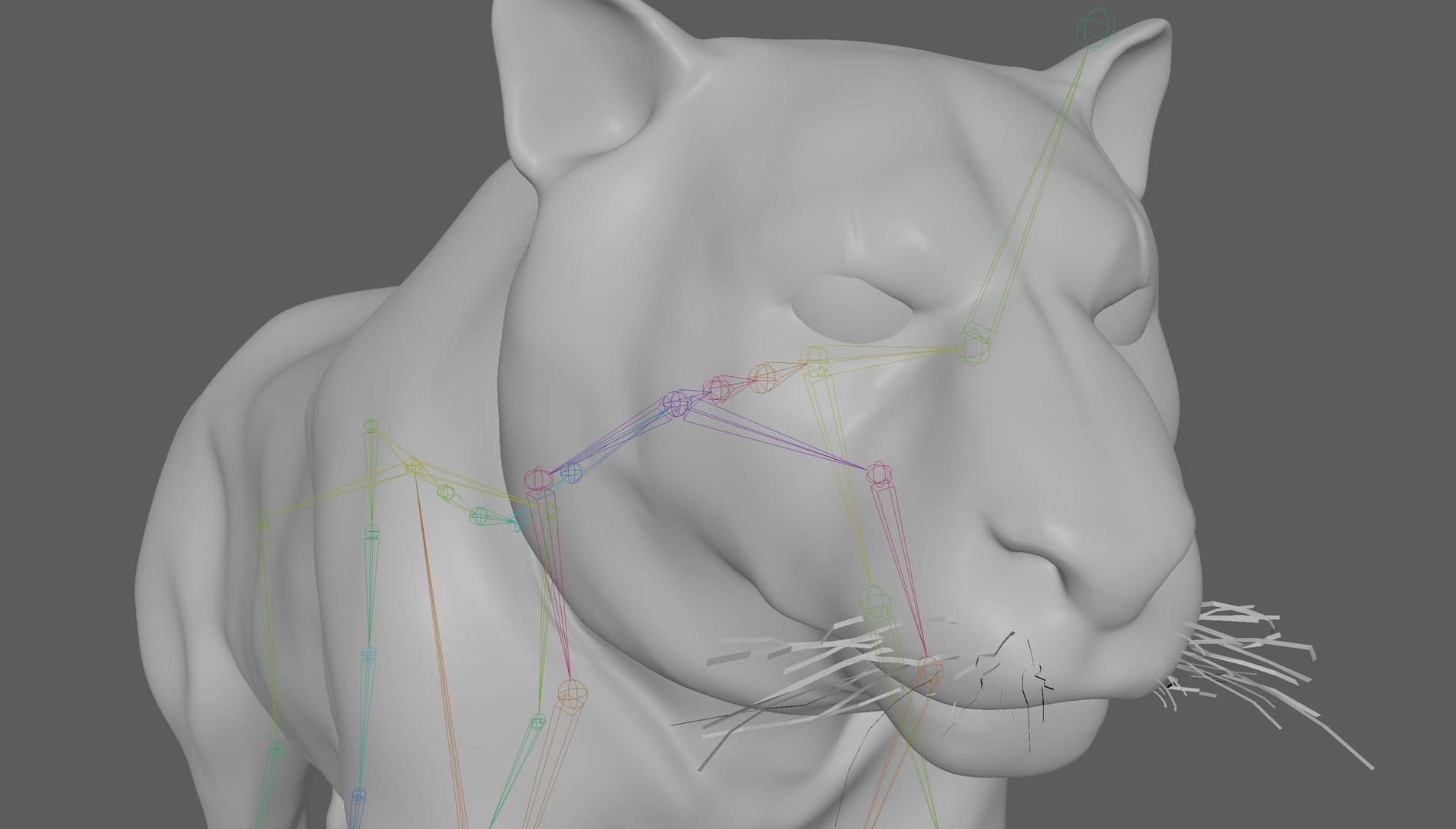 3D Model Tiger Rigged - TurboSquid 1880954